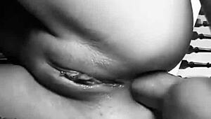 Novinha Guenta Pica no Cu for Raw Anal Orgasm with Rosavermelha