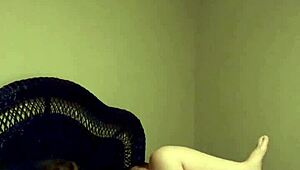 Real Homemade Videos of Amateur Neighbors and Their Couples