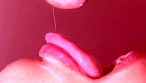 Bold Adventure While Parents Are Out