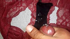 A huge load of cum spills on my friend's burgundy panties.
