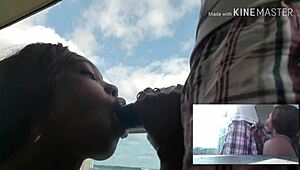 Black Chick in an Intriguing Scenario