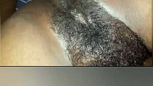 TIRANDO LEITE DE PICA