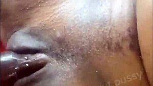 mix of videos from my membership