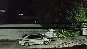 Woman Meets Lover Outdoors In Car Then Returns Smiling