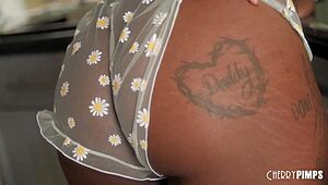 big tits ebony daizy cooper gets troy francisco to rim her ass and lick pussy before banging hard