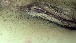 Massive stallion dominates tight pussy and asshole passionately