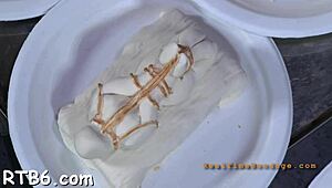 Who gets ferocious whipping in bdsm contest?