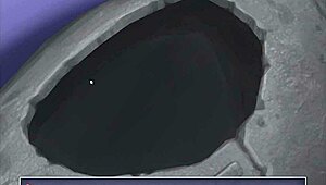 complete gameplay summertime saga part 43