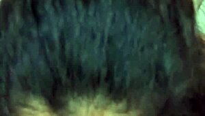 Latina Wife Giving Close-Up Blowjob And Ass Sex