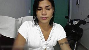 Ts Angelique Tests New Live Stream Page