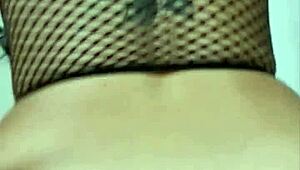 Latina Wife Giving Close-Up Blowjob And Ass Sex