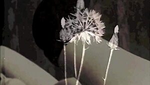 dark lantern presents at home with mum erotic confessions