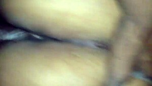 كلبة أفريقية شبيهة هالي بيري في نيك خام