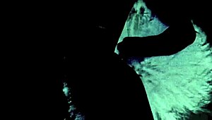 passion in vintage close-ups