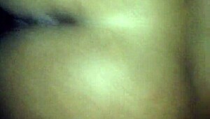 كلبة أفريقية شبيهة هالي بيري في نيك خام