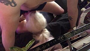 Rough cock sucking and fucking on sofa 😈