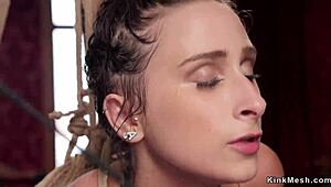 Suspended Slave Gets Zappered In Kinky Bondage Party.