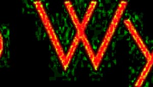 Tgirls XXX Cleo Wynter Comes Back, So Thrilled!