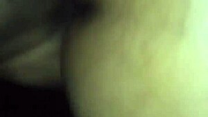 Beating Some Foreign Pussy From The Back Ass Clapping