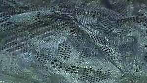 Yo, Sniffing Wife’s Dirty Panties & Thongs Feels Wild! 😈