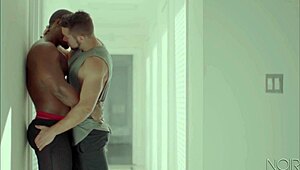 Interracial gay duo kissing and pounding hard