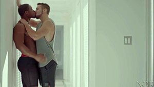 Interracial gay duo kissing and pounding hard