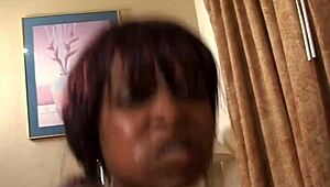 Black Bubble Butts Vol 5 Scene 4 Rocks Hard Fucking!