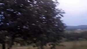 Enfiei a pica na loirinha no meio da estrada em público, completo no xvideos red 😏🚗