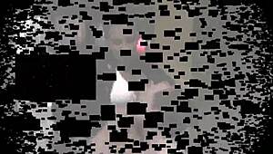 Watch The Femdom Slap That Slave's Face Hard! Punish Her Now!