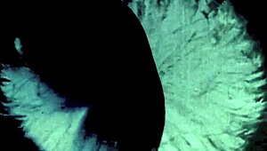 Vintage interracial confessions from a Victorian gentleman’s secret life