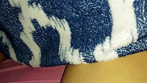 Leker hardt med stesøsterens trange kjøttfulle fitte