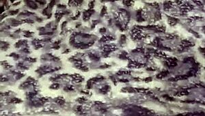 I put my stepdaughter in bed