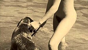 Man, this vintage taboo pussy scene is wild! Old-school doggystyle outdoors... 🔥