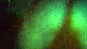 Party Slut Confesses Misbehavior And Fucks Young Lover