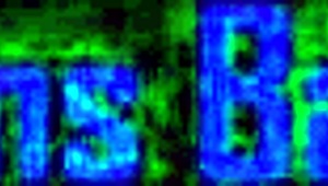 Nervous Latina Sucks Monster Cock and Orgasms Fast in Oral Session