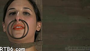 fascinating beauty locked in cage with another babe