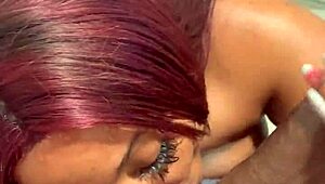 السيدة الراقية تمص زب الجار الكبير الأسود بطريقة فوضوية