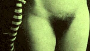 i cant beleive this vintage old porn with hairy milfs