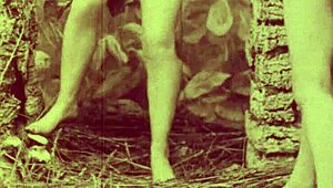 My Secret Life Reveals Top Twenty Vintage Swingers in Action.