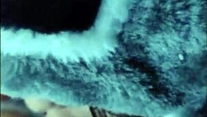 white wolf ofc ela nao pode me ver que ja quer chupar novinha submissa white moon