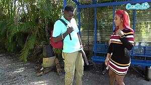 big black cock flashes at a public bus stop, shocking everyone around