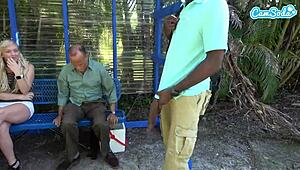 big black cock flashes at a public bus stop, shocking everyone around