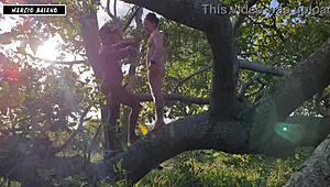 Rota Sex Si Oferese Para Macho Dotado!