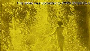 i love vintage erotic drawings