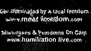 Is that tiny thing really your penis? Let's talk SPH!