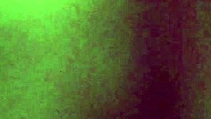 Watch the pussy cum on camera during intense orgasm from masturbation and fingering.