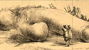 Vintage Erotic Illustration Of Anime Hentai Scenes!