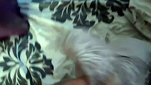 i crave my sister-in-law's big ass and boobs