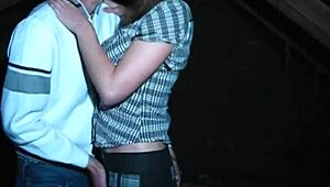 Casual teen sex in the attic with nice view