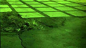 Bad slut takes rough pounding and anal dildo in extreme BDSM compilation